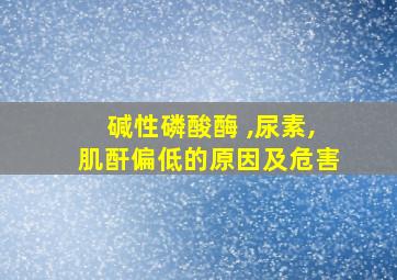 碱性磷酸酶 ,尿素,肌酐偏低的原因及危害